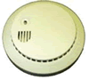 Smoke Detector Camera (Color)